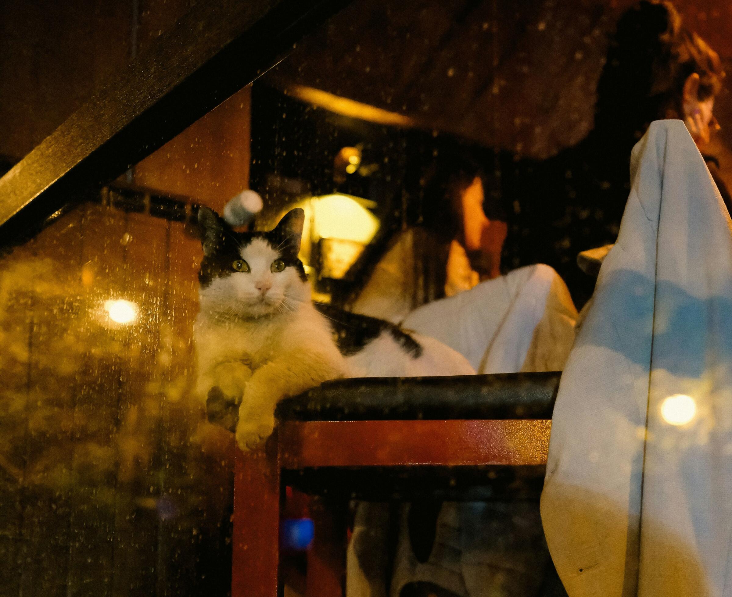 絶望と希望が交錯するイメージ