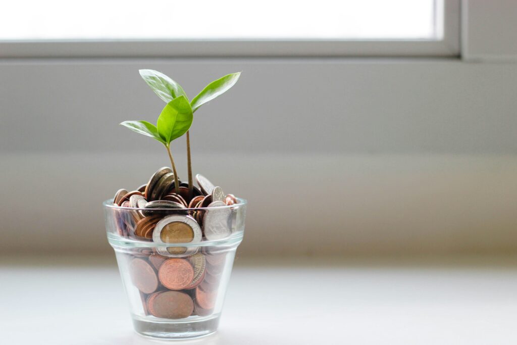 資金に余裕の芽が出てきたイメージ