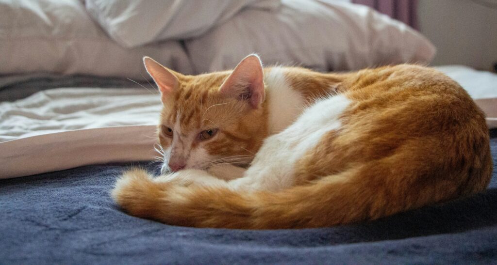 家事に取り組む新しい日常。洗濯や掃除が自分の重要な役割となった