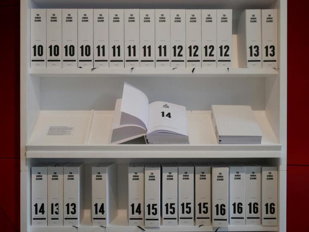 整理された本棚から無駄のない手続きを表す